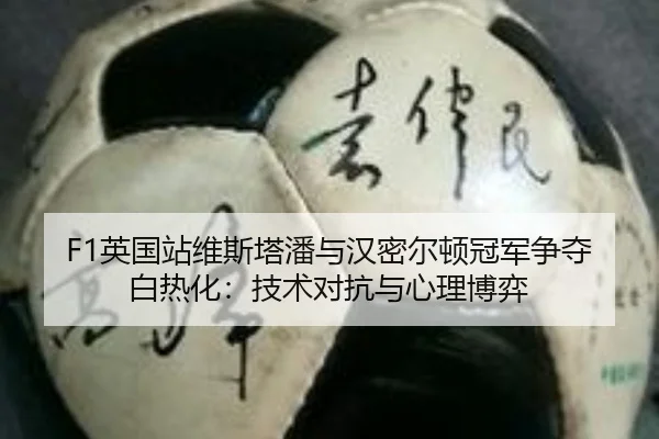 ying-guo-zhan-wei-si-ta-pan-yu-han-mi-er-dun-guan-jun-zheng-duo-bai-re-hua-ji-shu-dui-kang-yu-xin-li-bo-yi-2-498.jpg