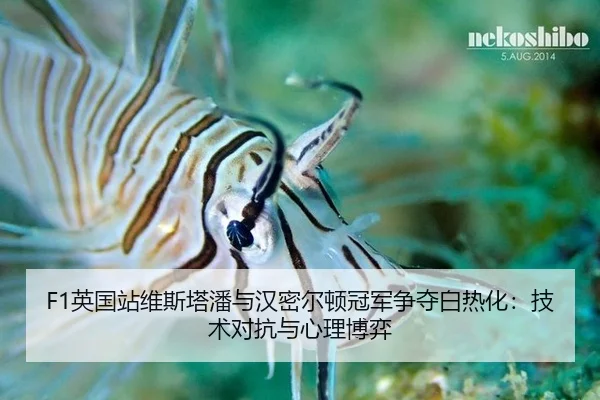 ying-guo-zhan-wei-si-ta-pan-yu-han-mi-er-dun-guan-jun-zheng-duo-bai-re-hua-ji-shu-dui-kang-yu-xin-li-bo-yi-1-100.jpg